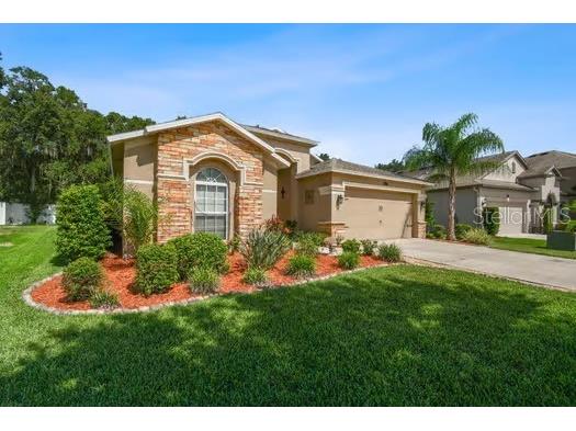 3608 Grecko Drive Wesley Chapel FL 33543 TB8411489 image2