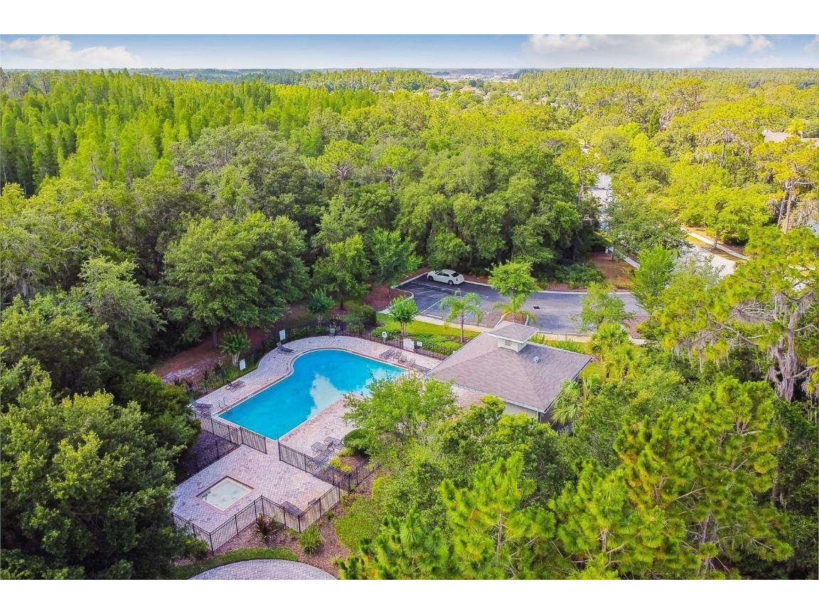 3608 Grecko Drive Wesley Chapel FL 33543 TB8411489 image31