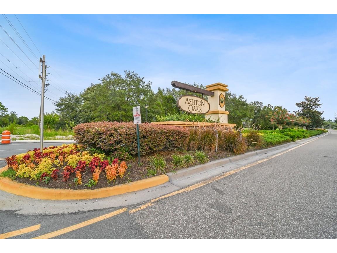 3608 Grecko Drive Wesley Chapel FL 33543 TB8411489 image34