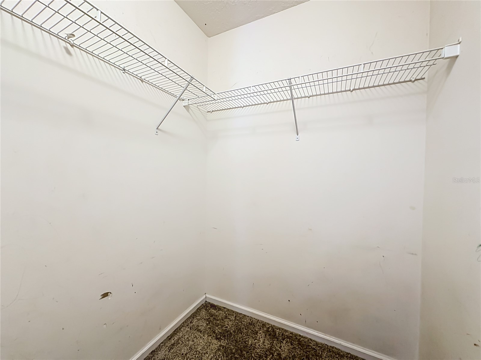 3608 Meadowgreen Lane Middleburg FL 32068 GC540846 image35