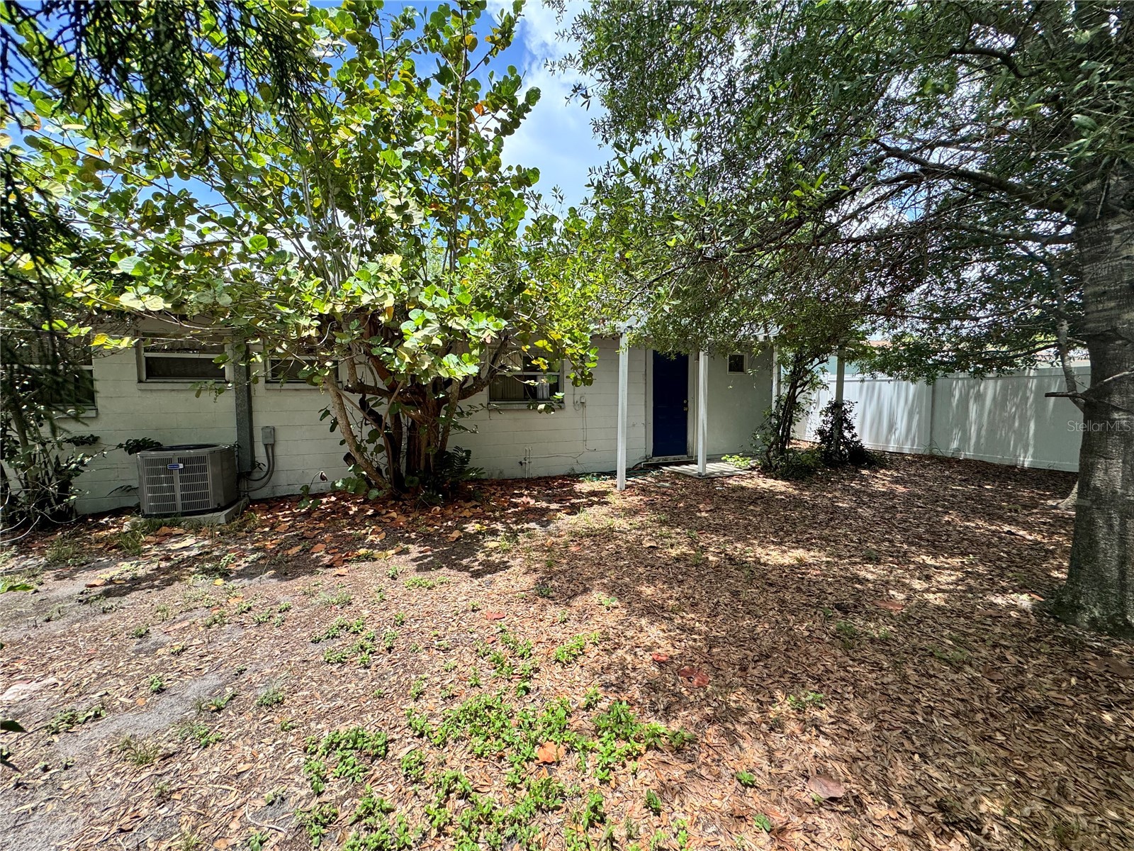 3608 W Leila Avenue Tampa FL 33611 TB8526192 image14