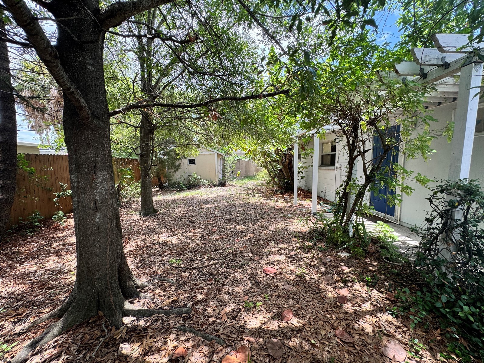 3608 W Leila Avenue Tampa FL 33611 TB8526192 image15