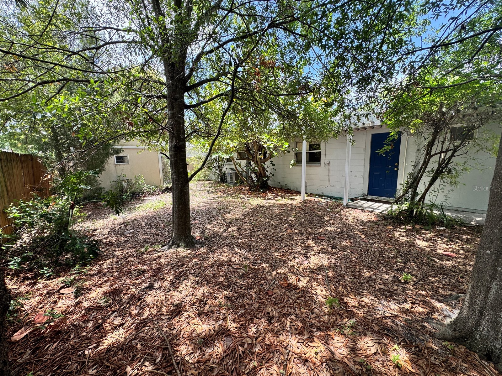 3608 W Leila Avenue Tampa FL 33611 TB8526192 image16