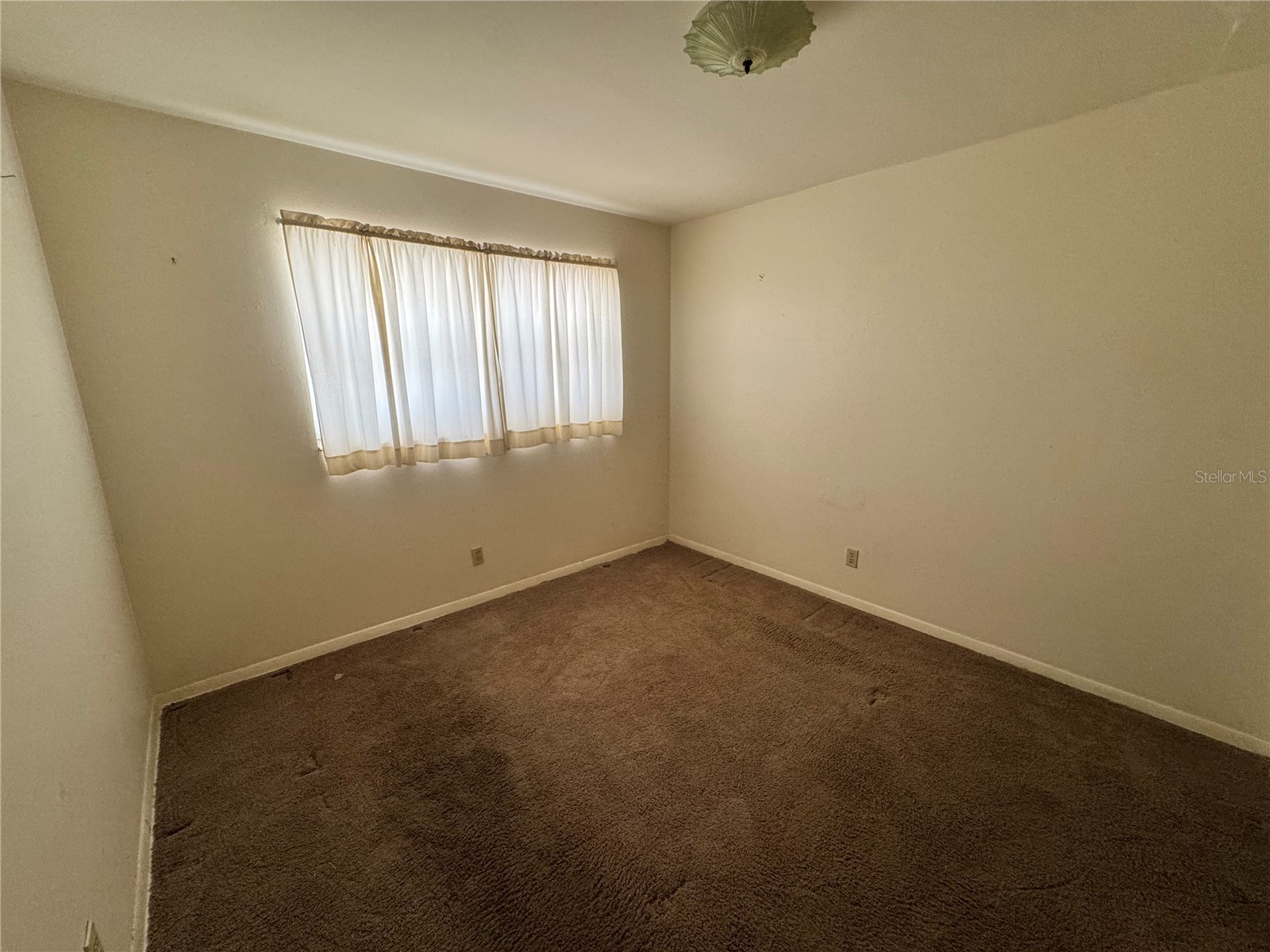 3608 W Leila Avenue Tampa FL 33611 TB8526192 image28