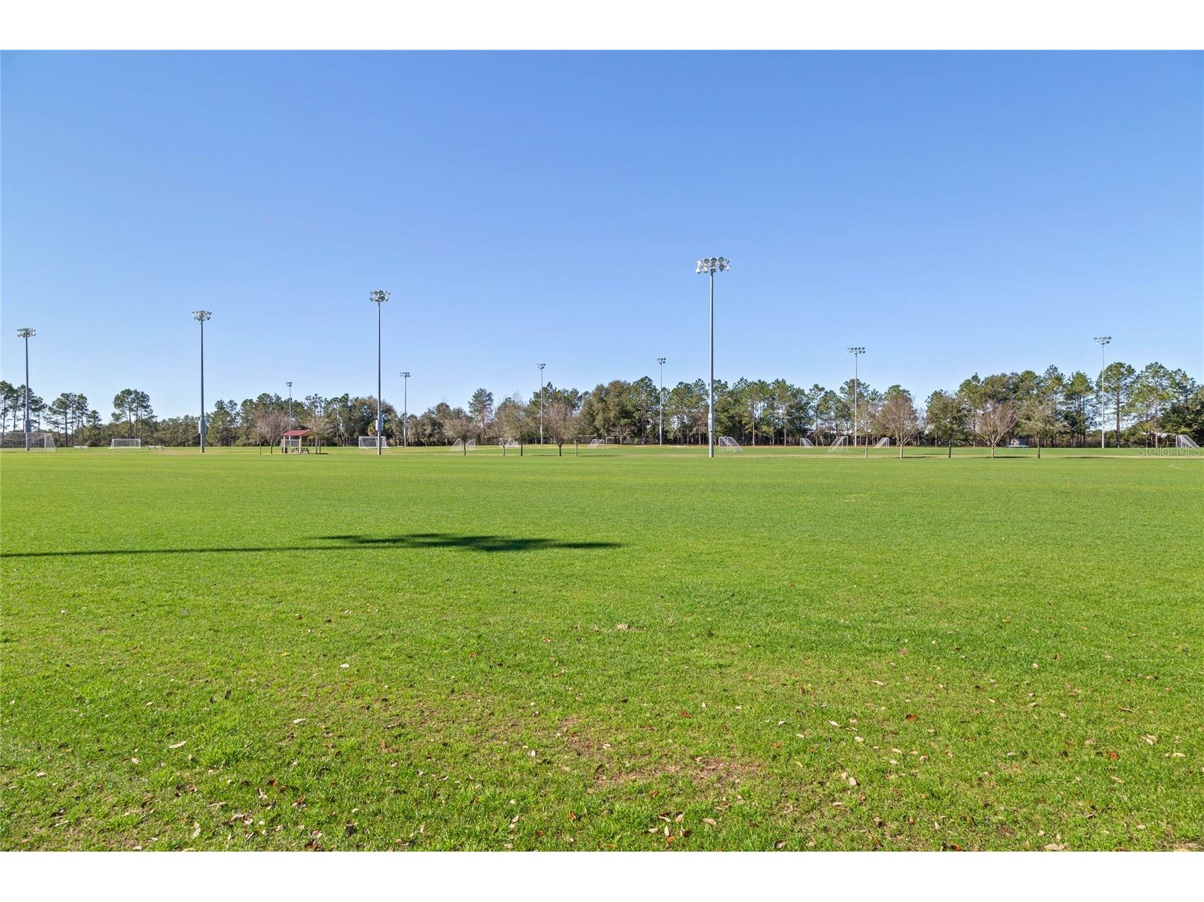 3609 Apopka Ridge Cir Apopka FL 32703 O6396278 image61