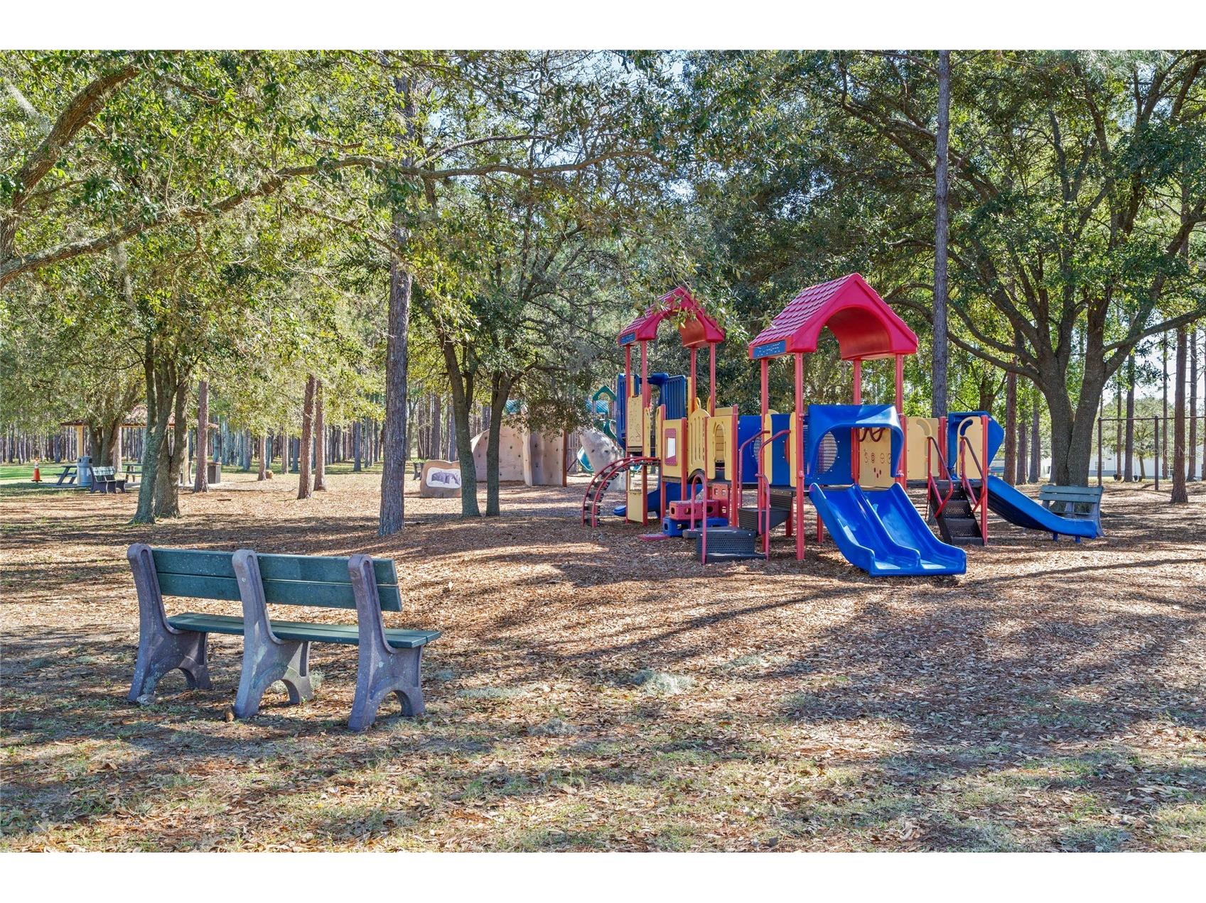 3609 Apopka Ridge Cir Apopka FL 32703 O6396278 image70
