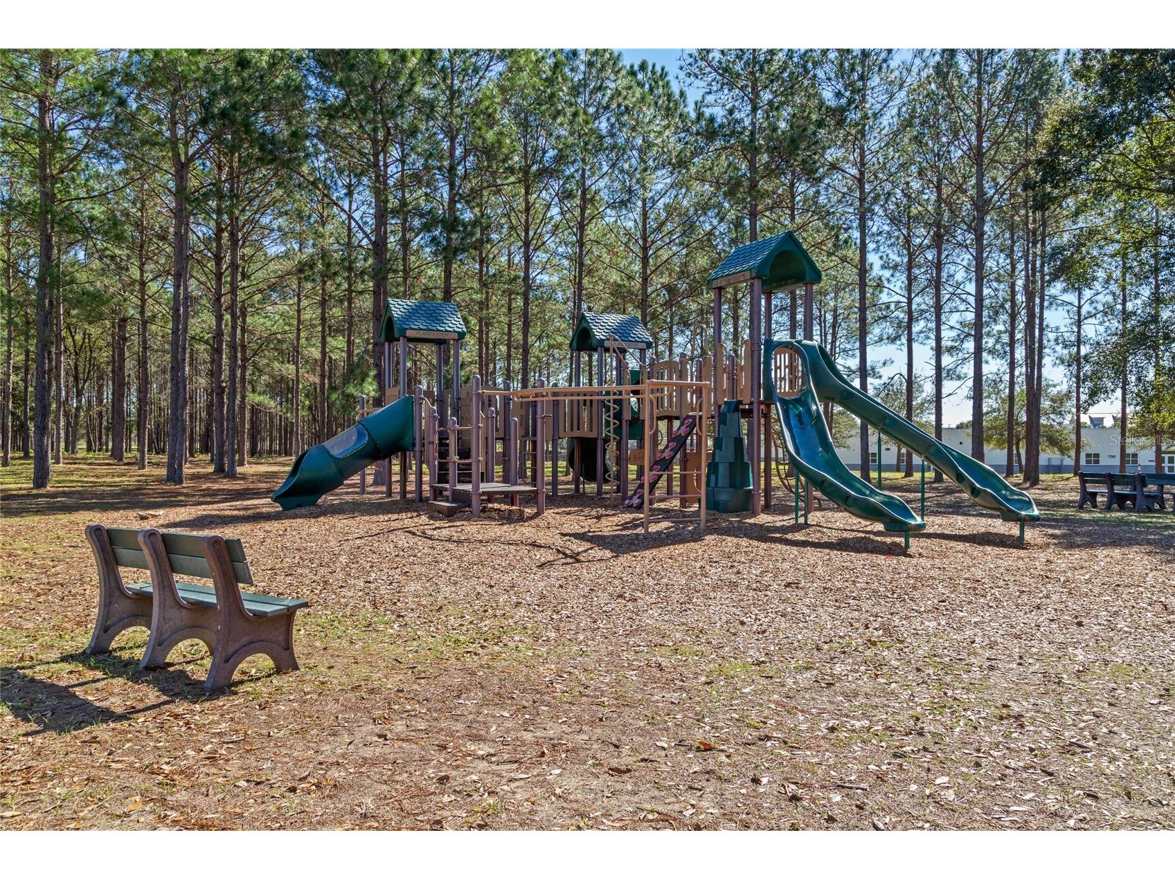 3609 Apopka Ridge Cir Apopka FL 32703 O6396278 image71
