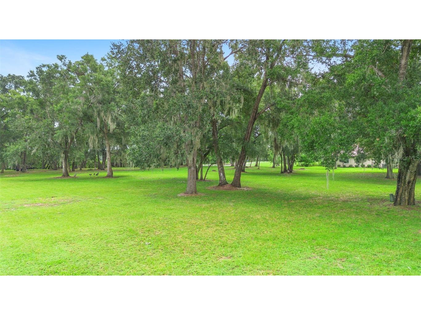 3609 Aquamarine Drive Deland FL 32724 - LAKE MAMIE V4943953 image8