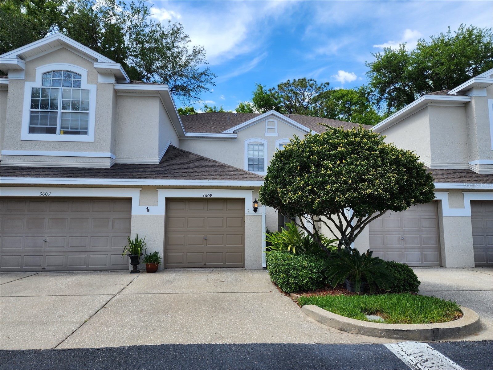 3609 Country Pointe Place Palm Harbor FL 34684 TB8498253 image1