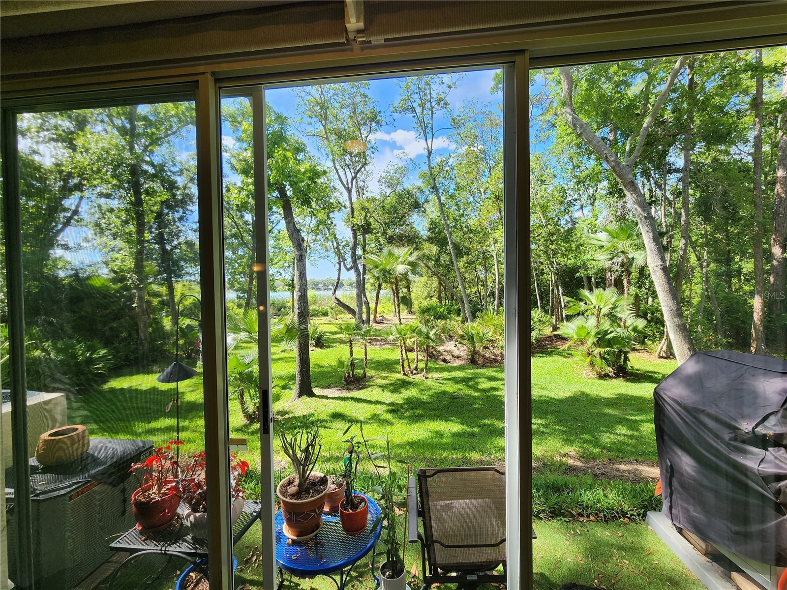3609 Country Pointe Place Palm Harbor FL 34684 TB8498253 image11