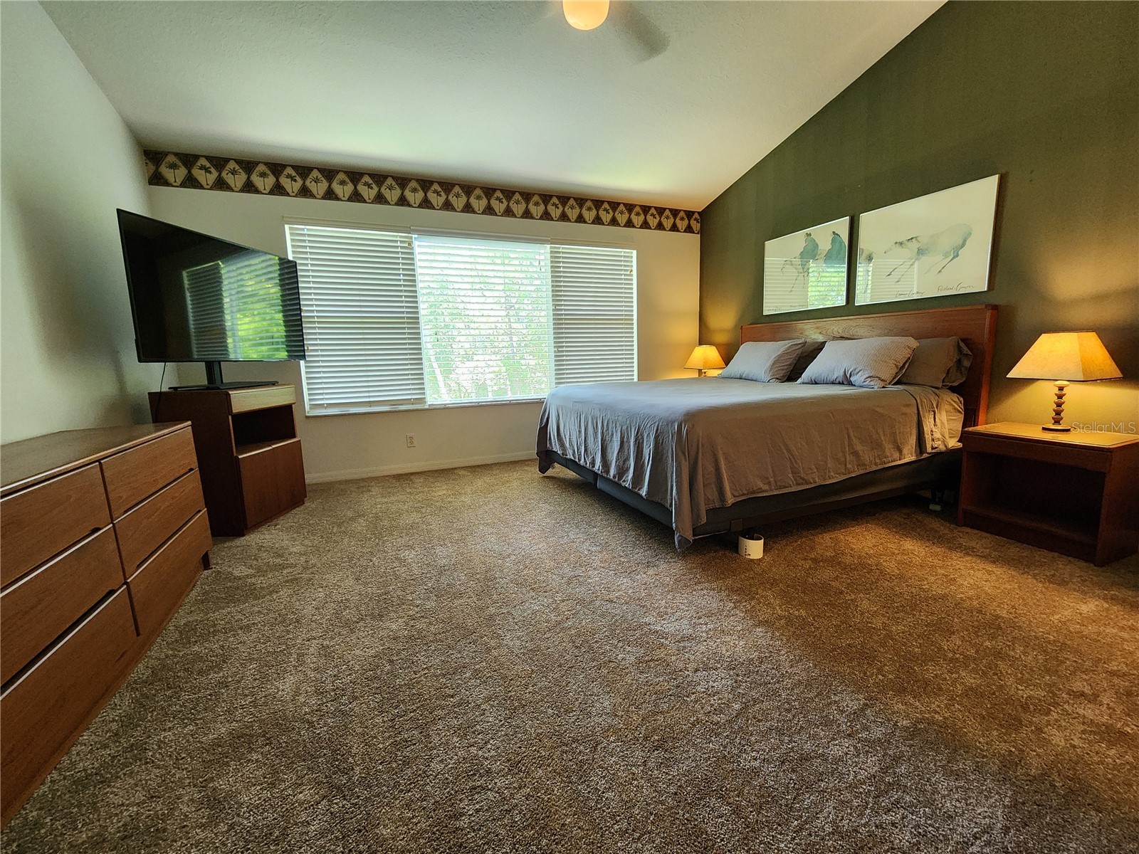 3609 Country Pointe Place Palm Harbor FL 34684 TB8498253 image16