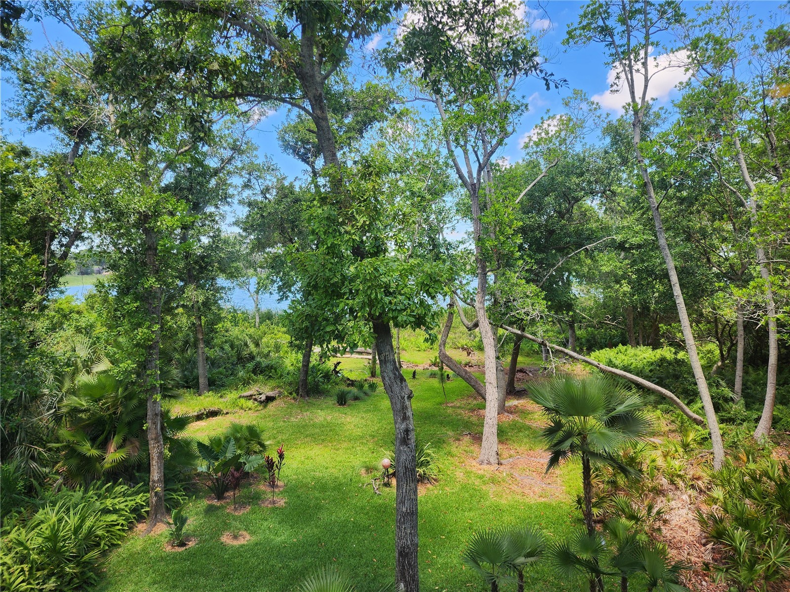 3609 Country Pointe Place Palm Harbor FL 34684 TB8498253 image17