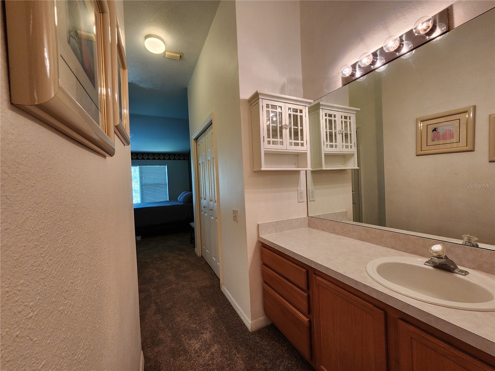 3609 Country Pointe Place Palm Harbor FL 34684 TB8498253 image18