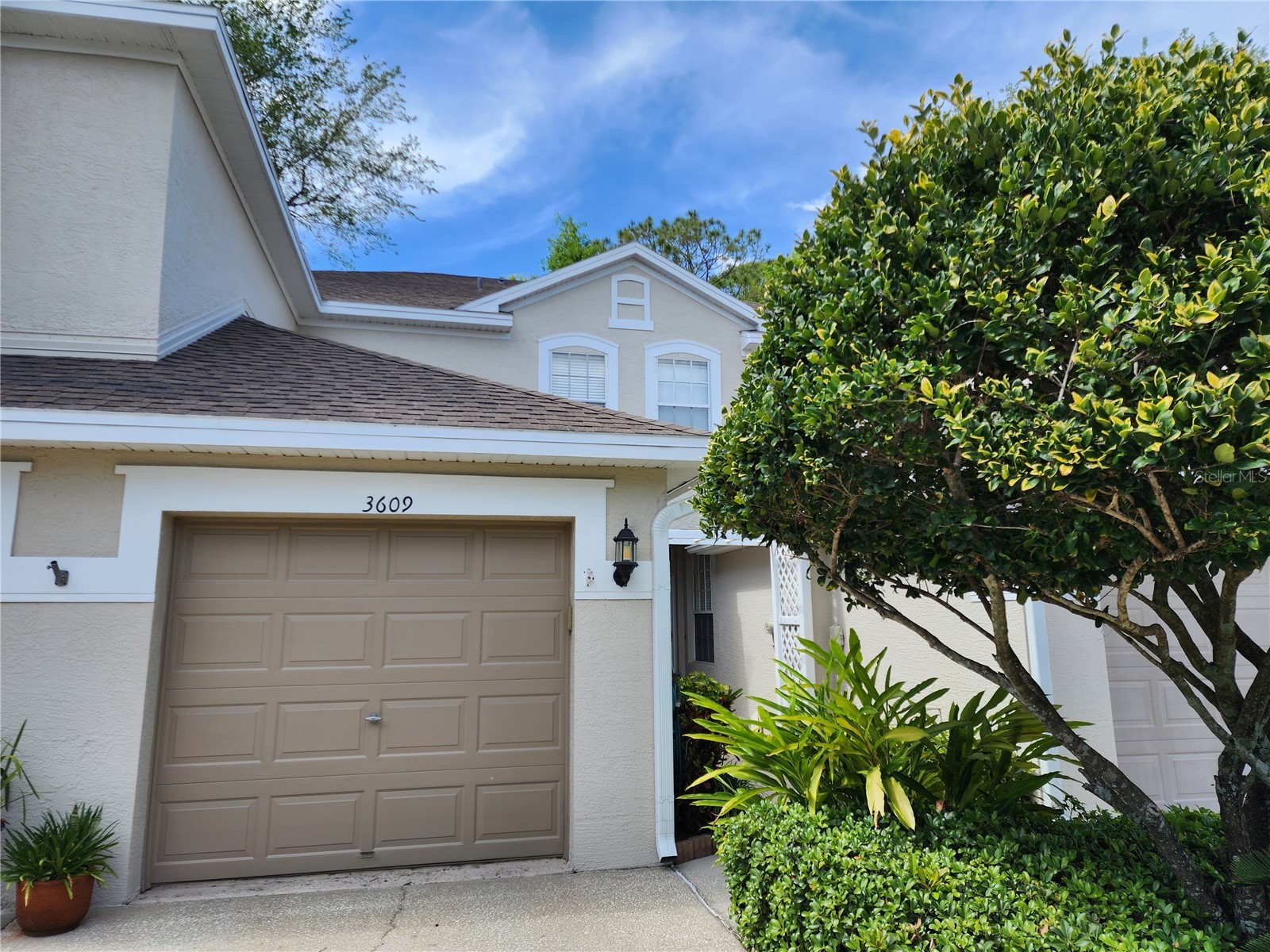 3609 Country Pointe Place Palm Harbor FL 34684 TB8498253 image23