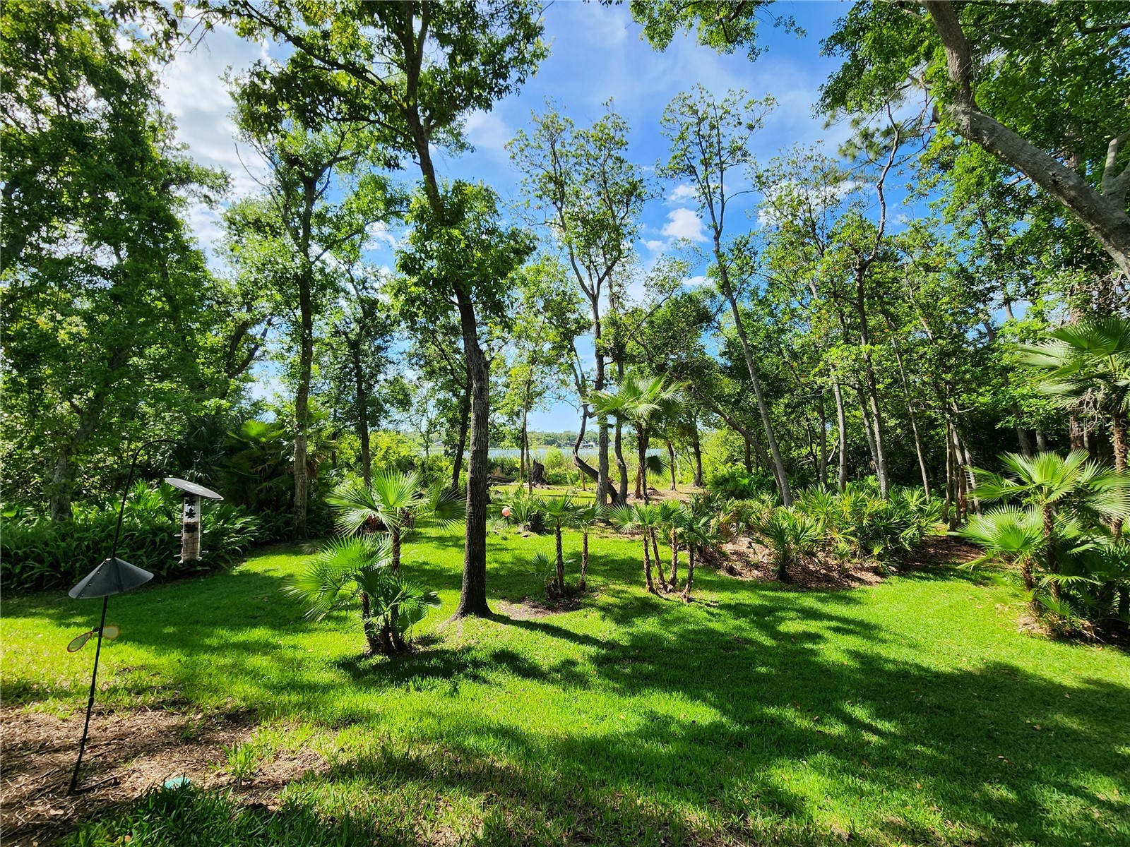 3609 Country Pointe Place Palm Harbor FL 34684 TB8498253 image5