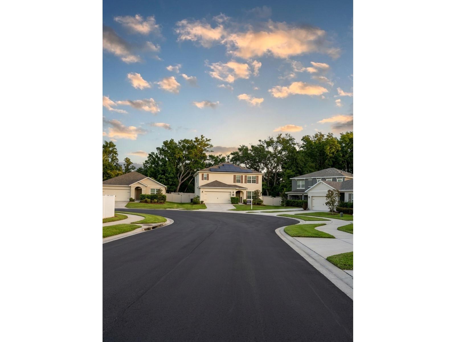 3609 Crimson Clover Drive Mount Dora FL 32757 G5110476 image1