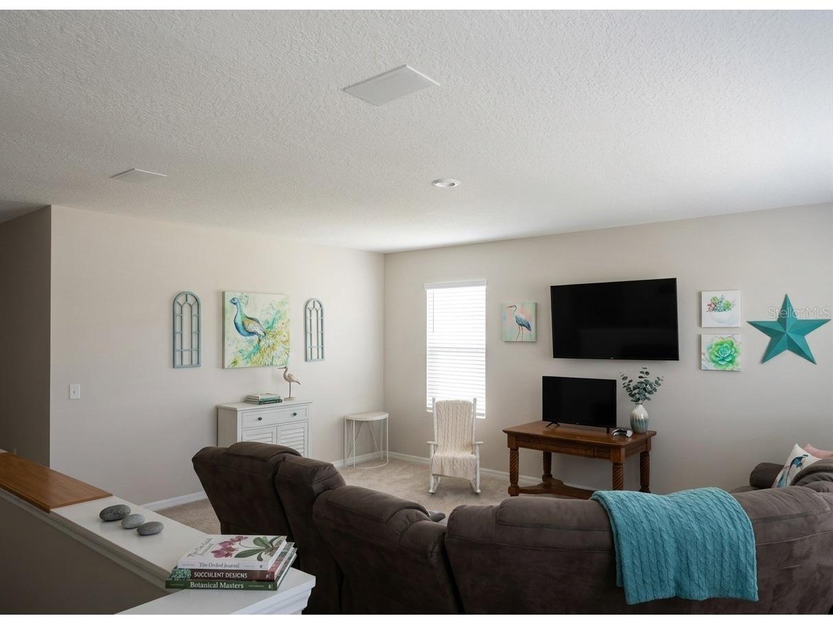 3609 Crimson Clover Drive Mount Dora FL 32757 G5110476 image7