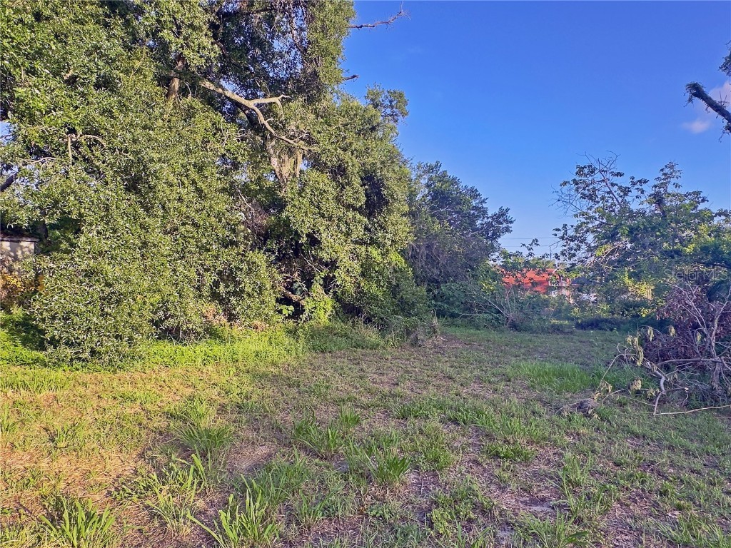 3609 E North Bay Street Tampa FL 33610 TB8397323 image10