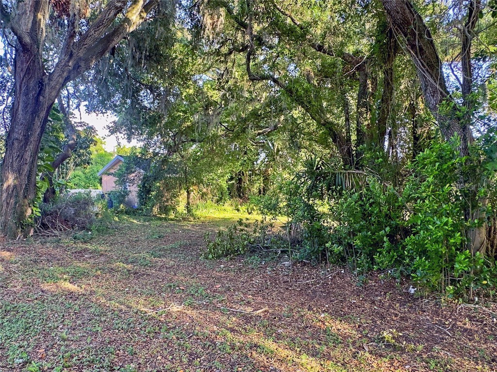 3609 E North Bay Street Tampa FL 33610 TB8397323 image7