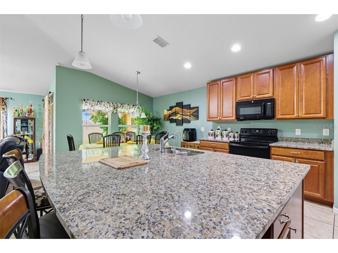 3609 Gretchen Drive Ocoee FL 34761 O6350517 image10