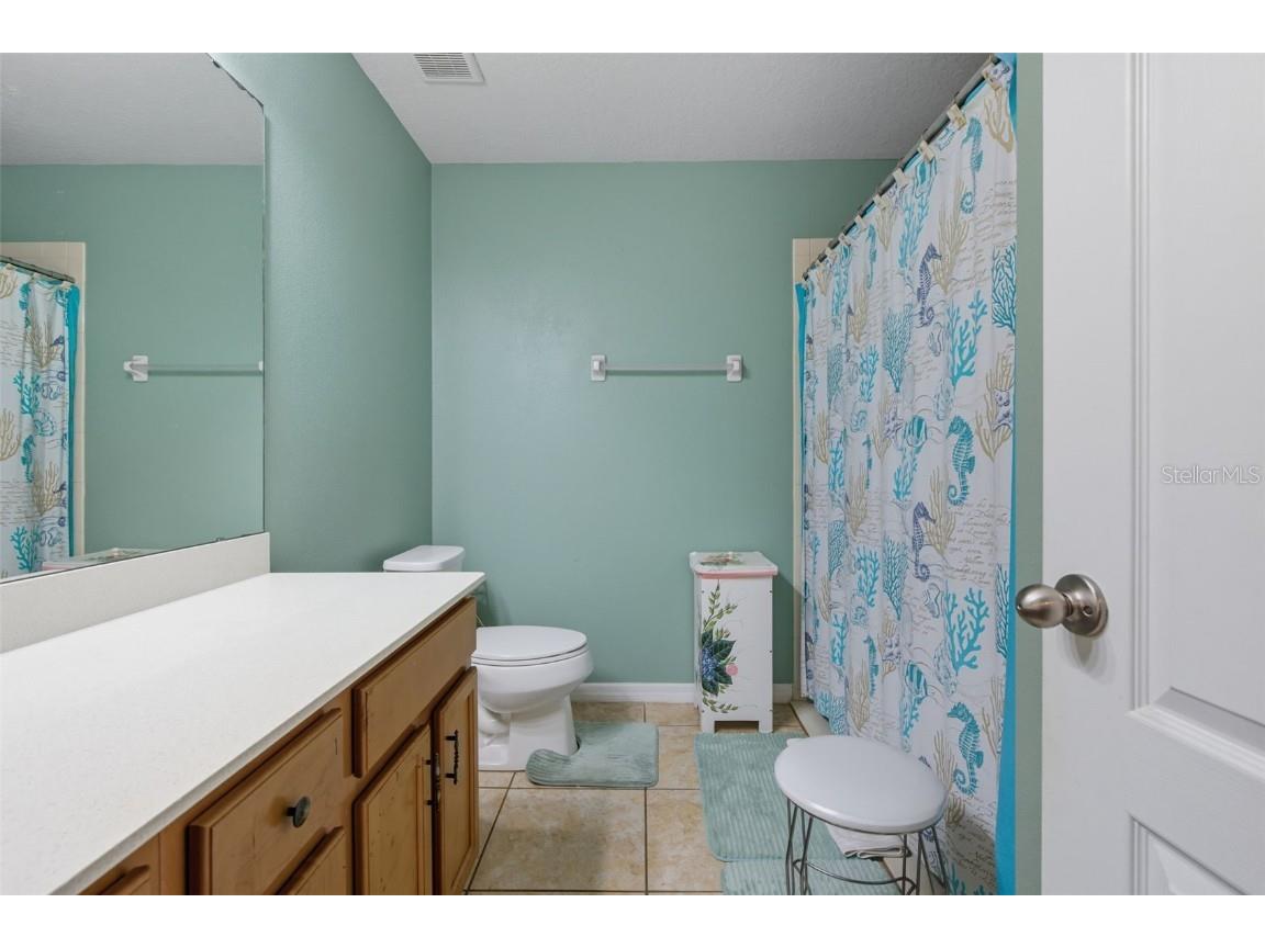 3609 Gretchen Drive Ocoee FL 34761 O6350517 image25