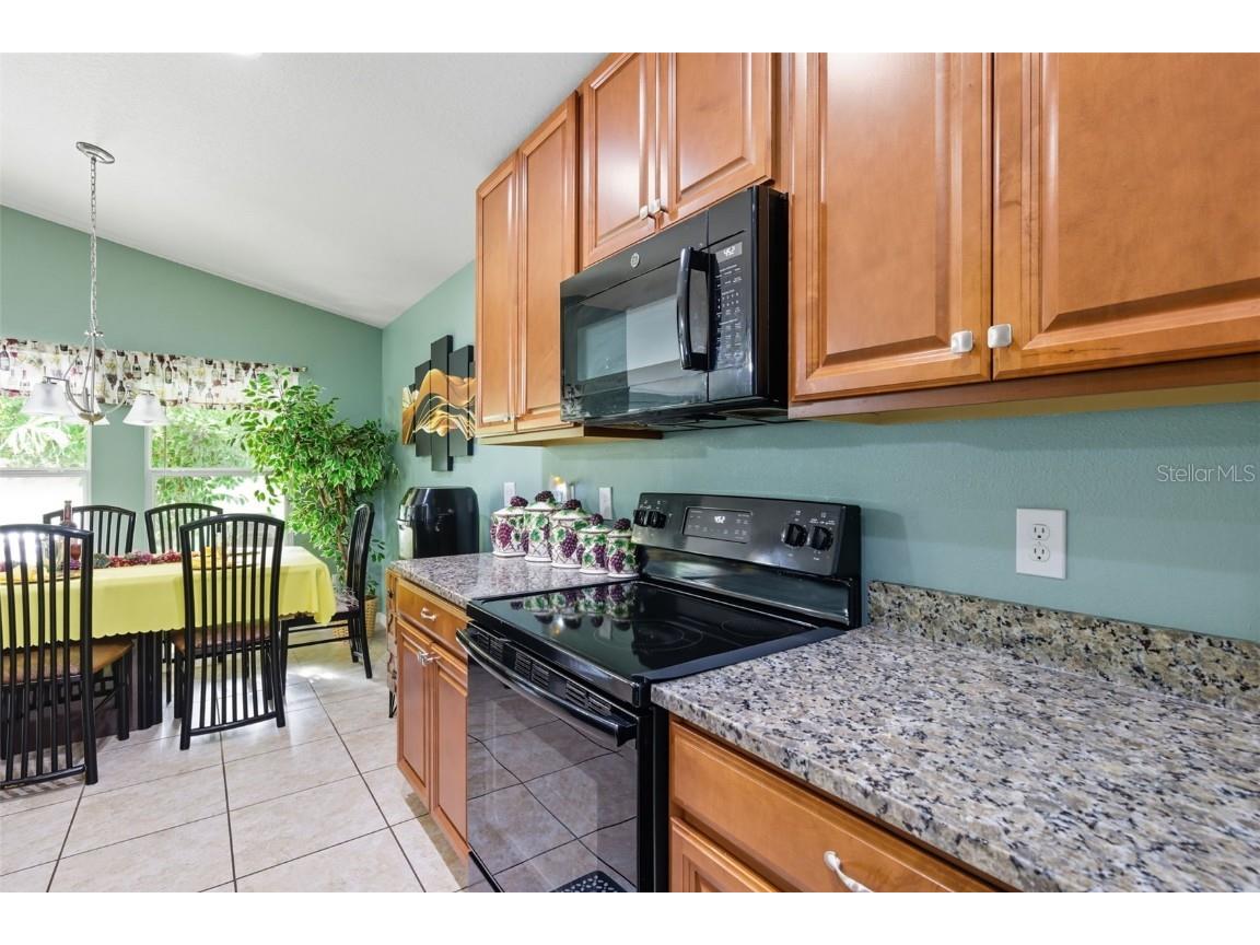 3609 Gretchen Drive Ocoee FL 34761 O6350517 image8