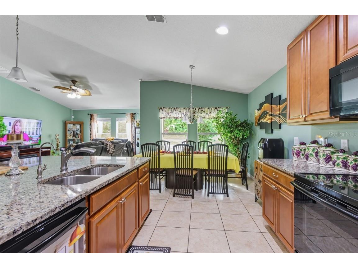 3609 Gretchen Drive Ocoee FL 34761 O6350517 image9