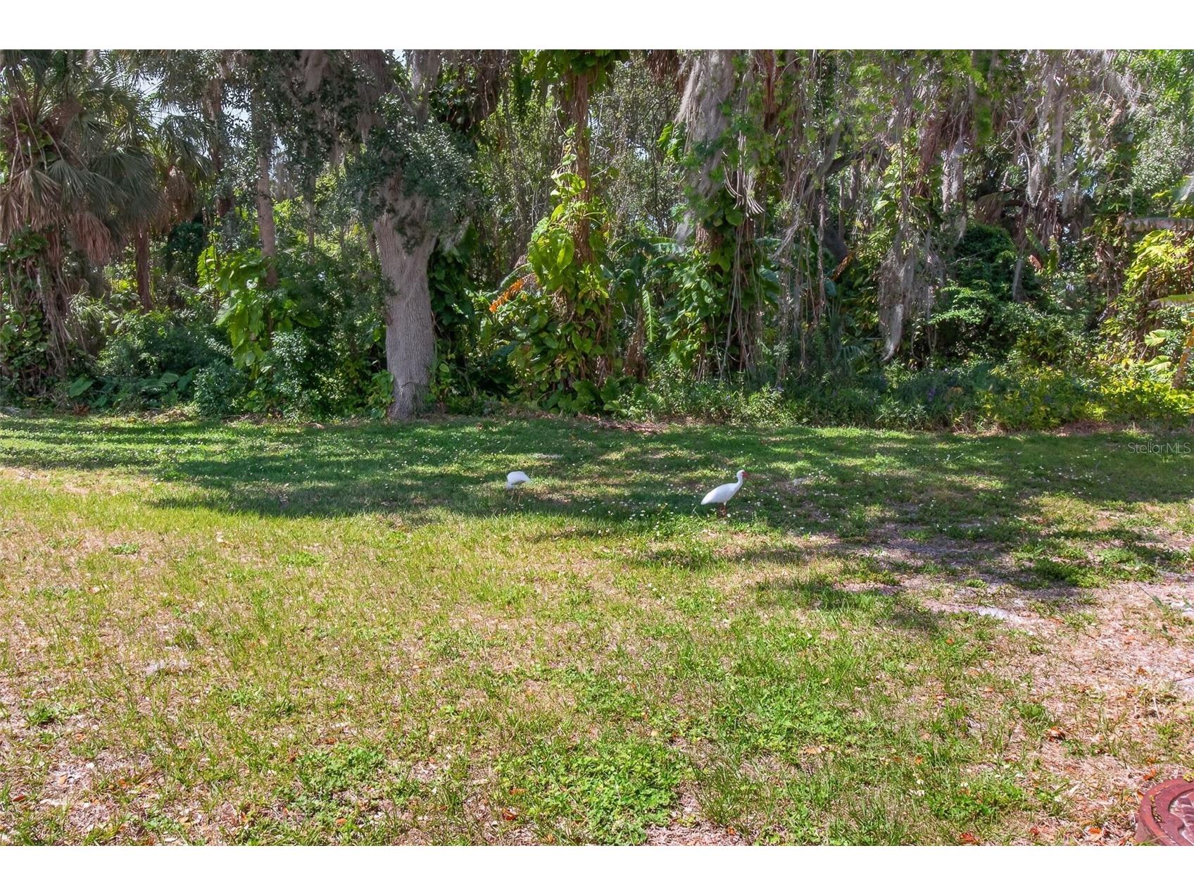 3609 Luma Drive Holiday FL 34691 TB8499861 image37