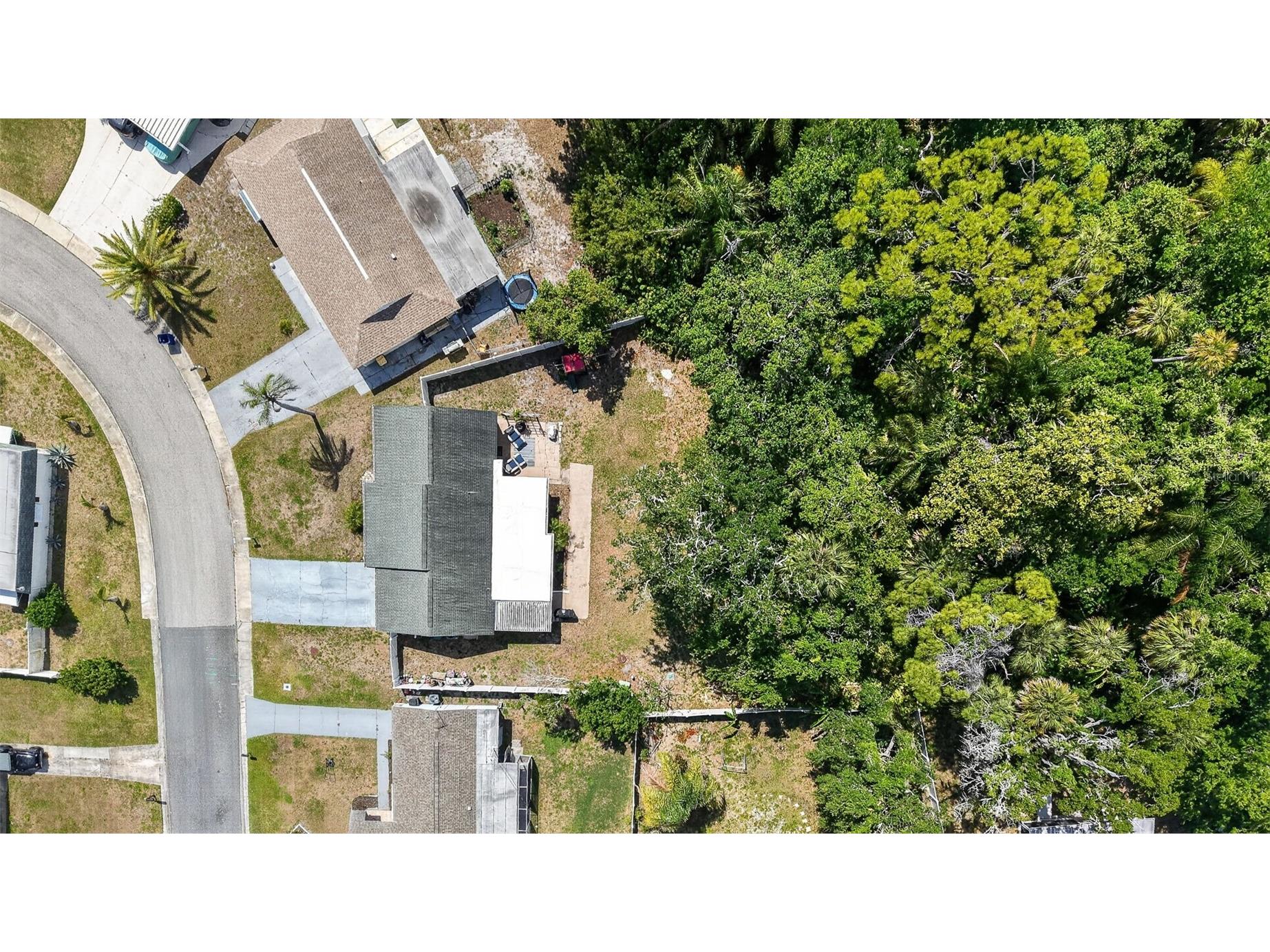 3609 Luma Drive Holiday FL 34691 TB8499861 image41