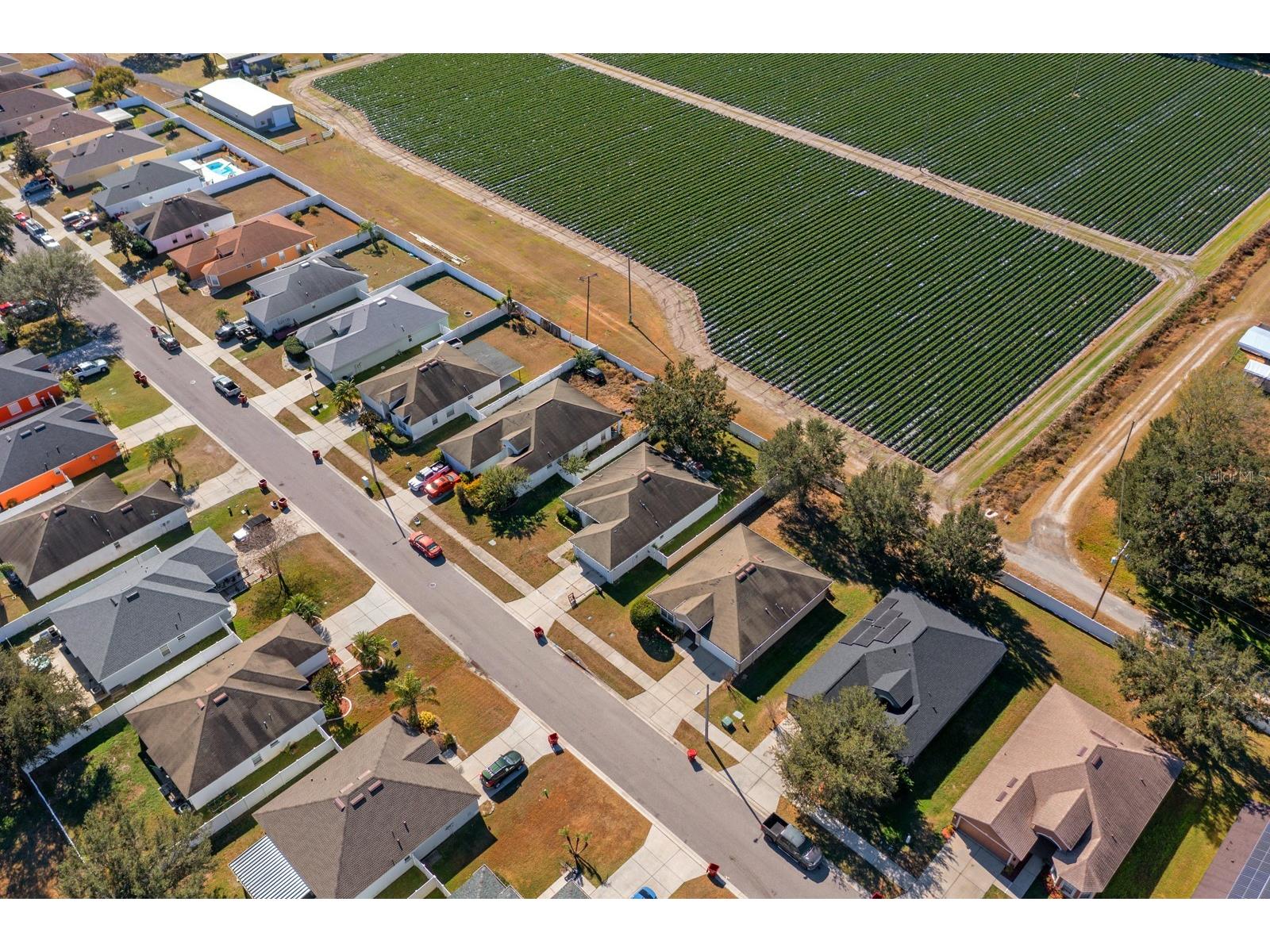 3609 Trapnell Grove Loop Plant City FL 33567 TB8500908 image11