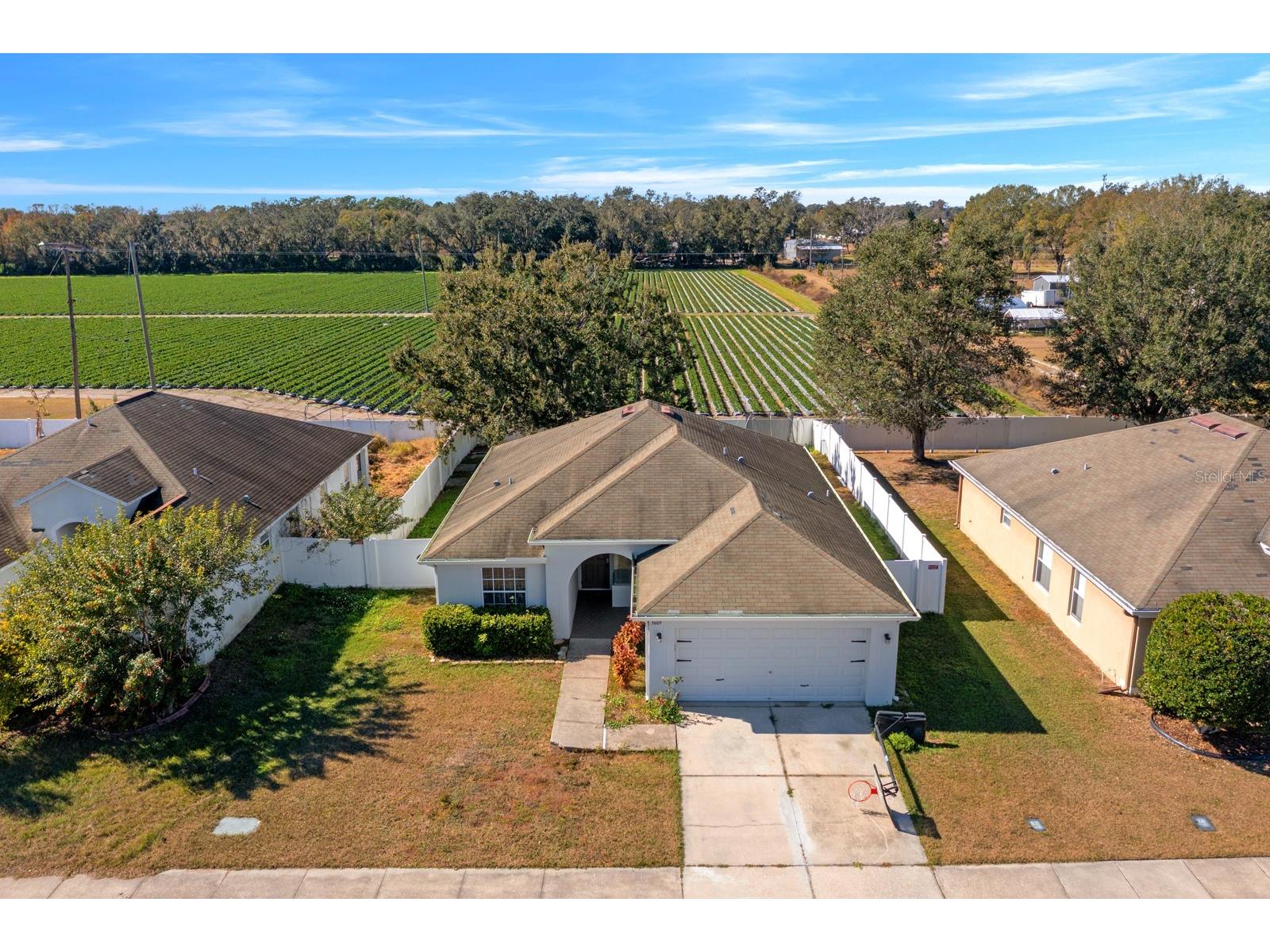 3609 Trapnell Grove Loop Plant City FL 33567 TB8500908 image3
