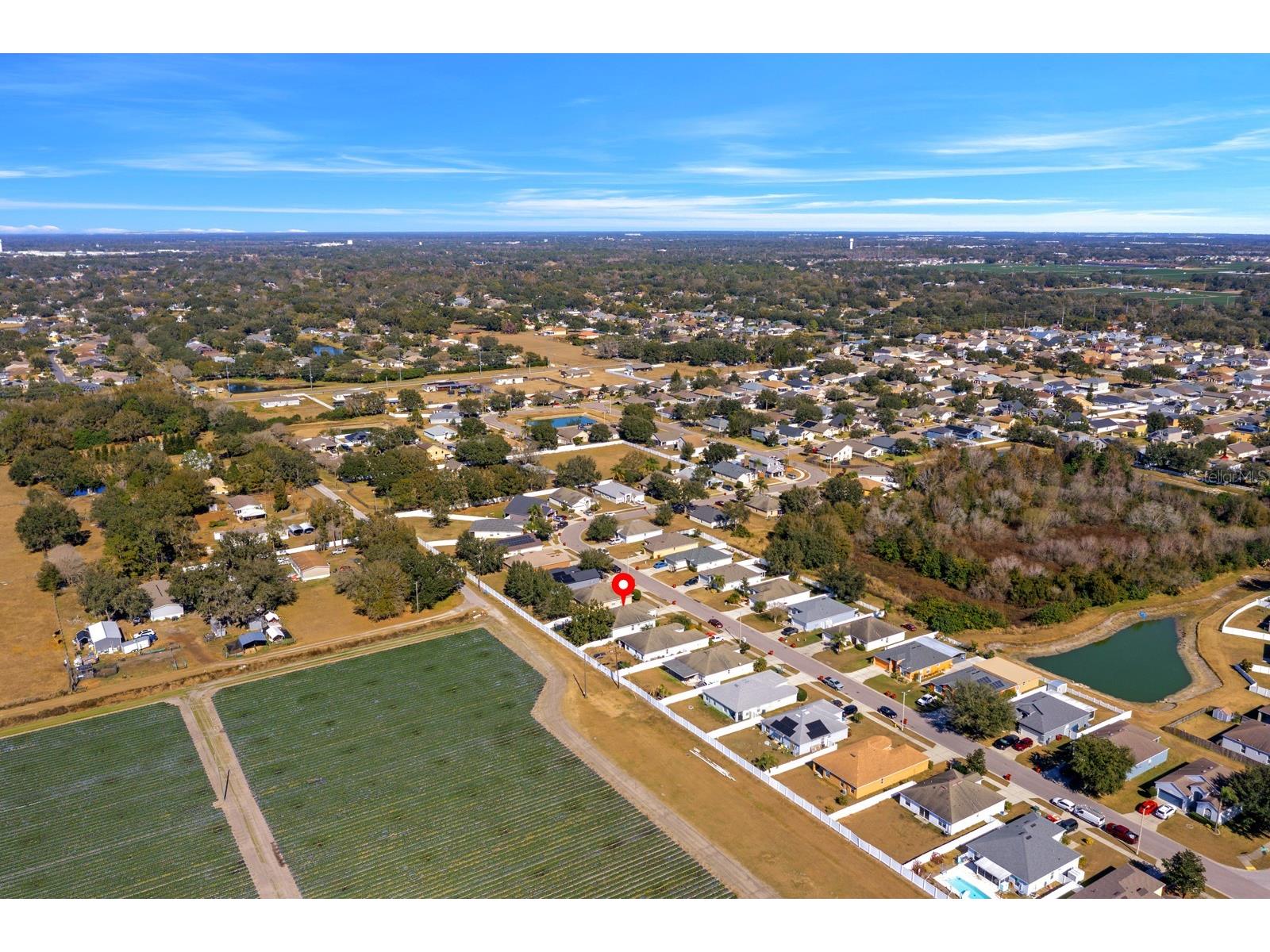 3609 Trapnell Grove Loop Plant City FL 33567 TB8500908 image8