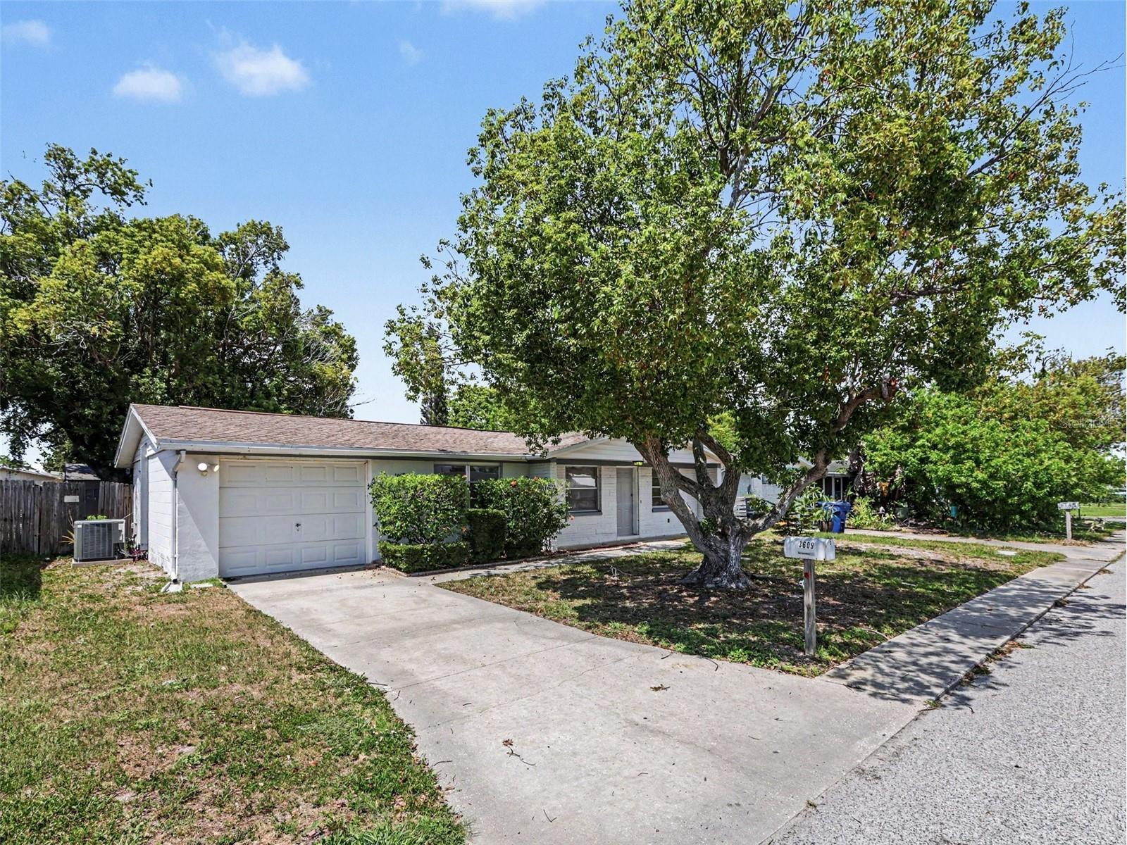3609 Truman Drive Holiday FL 34691 O6414730 image2