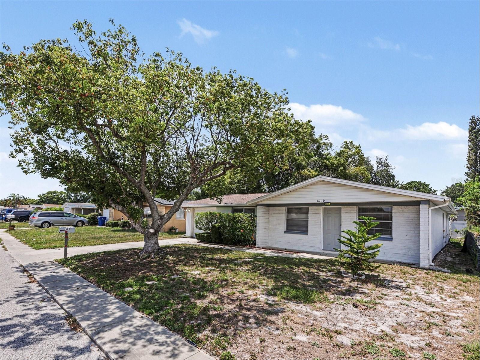 3609 Truman Drive Holiday FL 34691 O6414730 image3