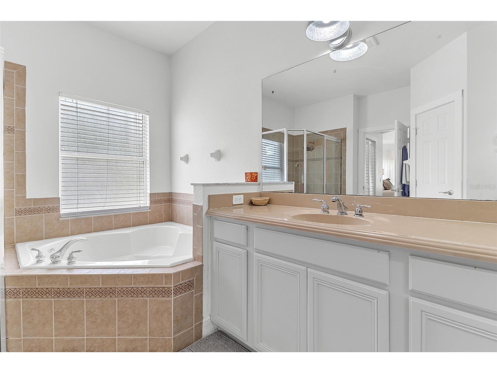 3609 Valleyview Drive Kissimmee FL 34746 S5153762 image26
