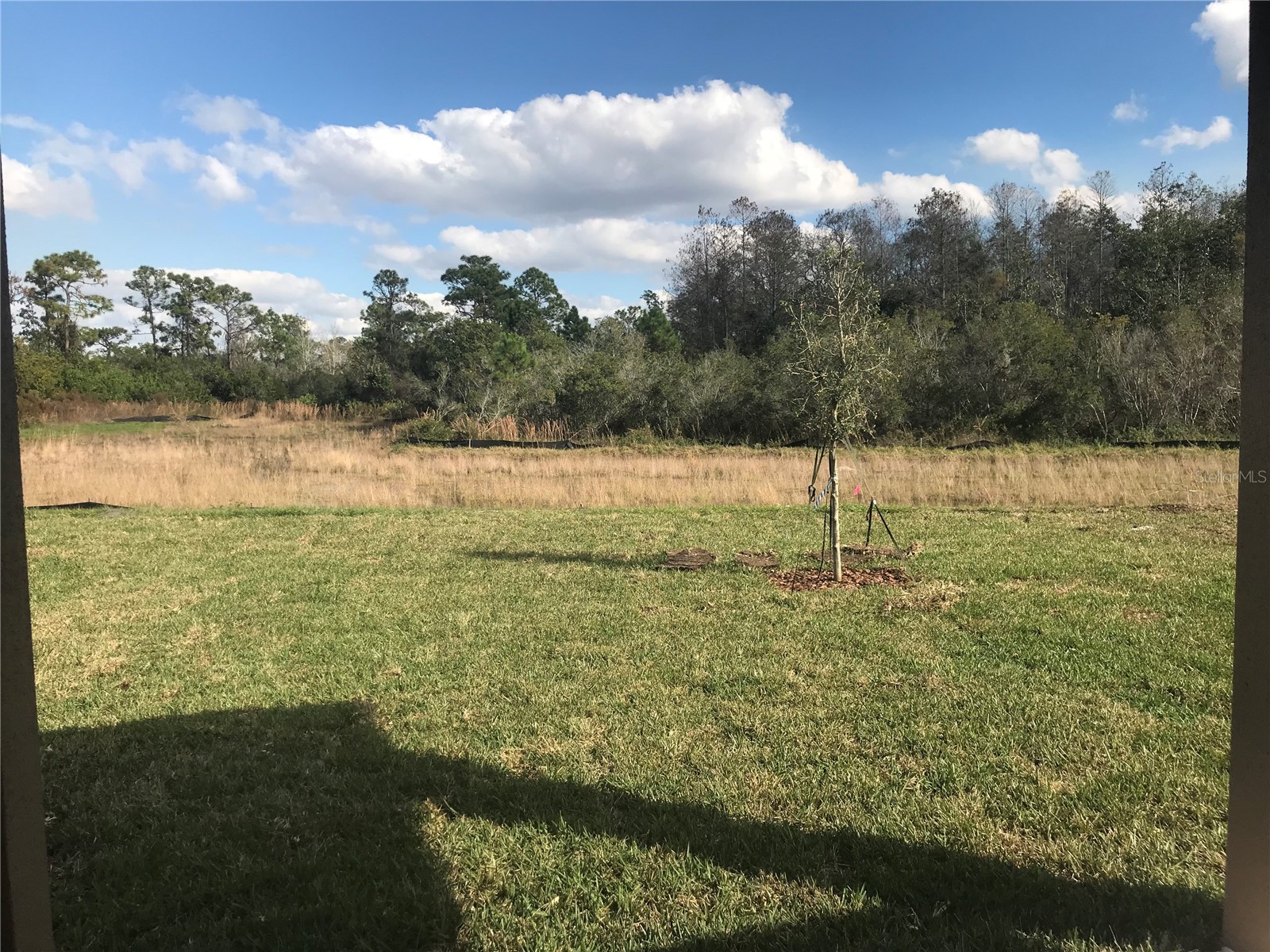 3609 Vega Creek Drive Saint Cloud FL 34772 O6421774 image14