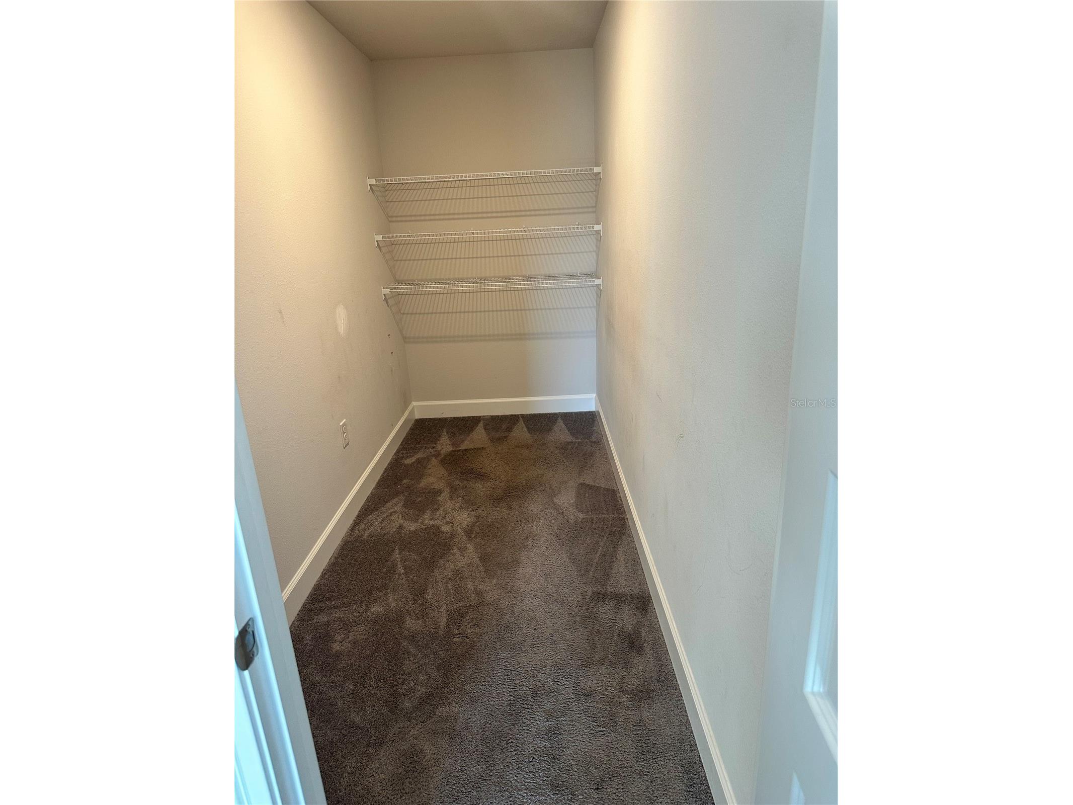 36097 Welsh Glade Road Dade City FL 33525 TB8478095 image21