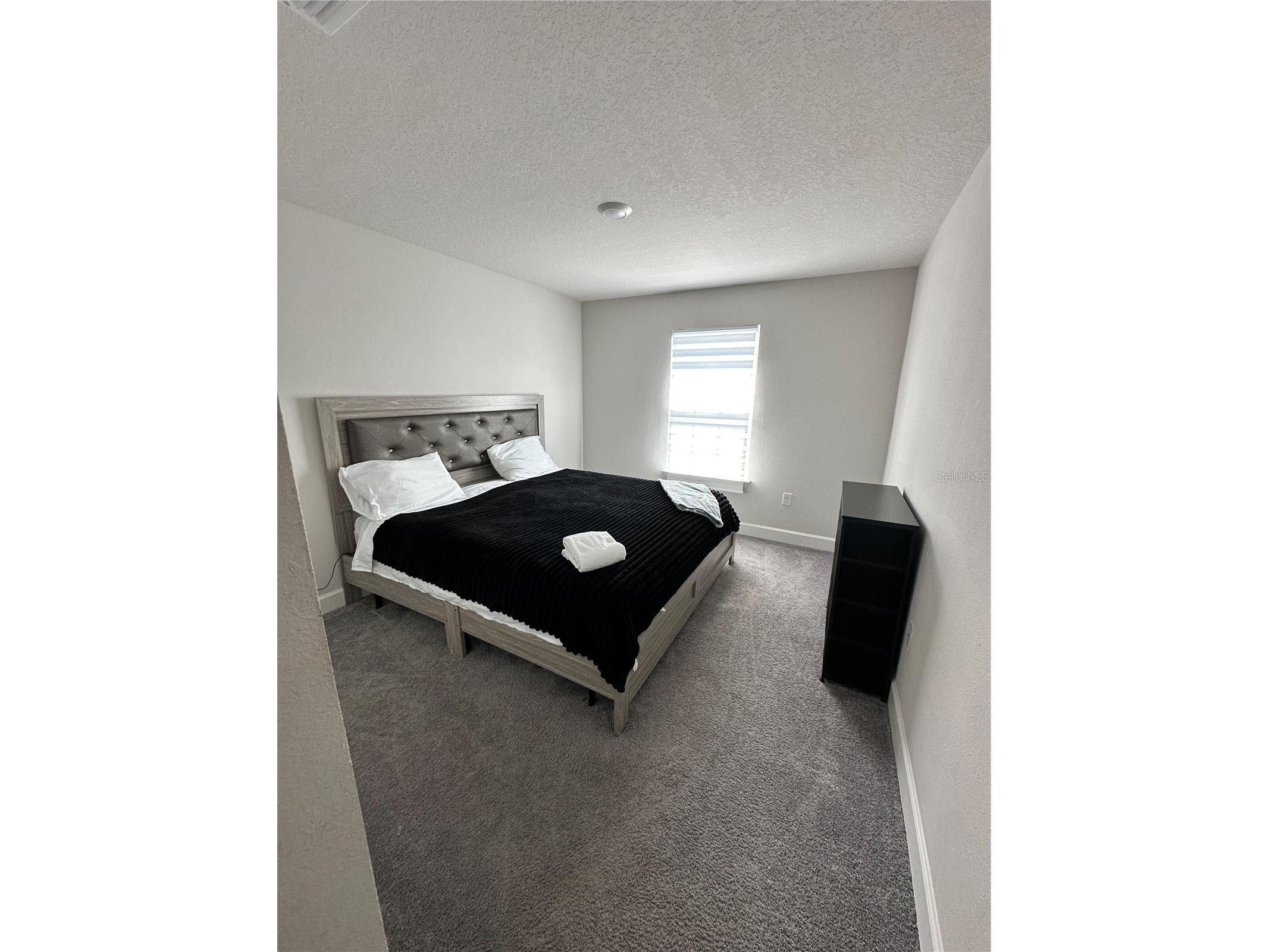 36097 Welsh Glade Road Dade City FL 33525 TB8478095 image31