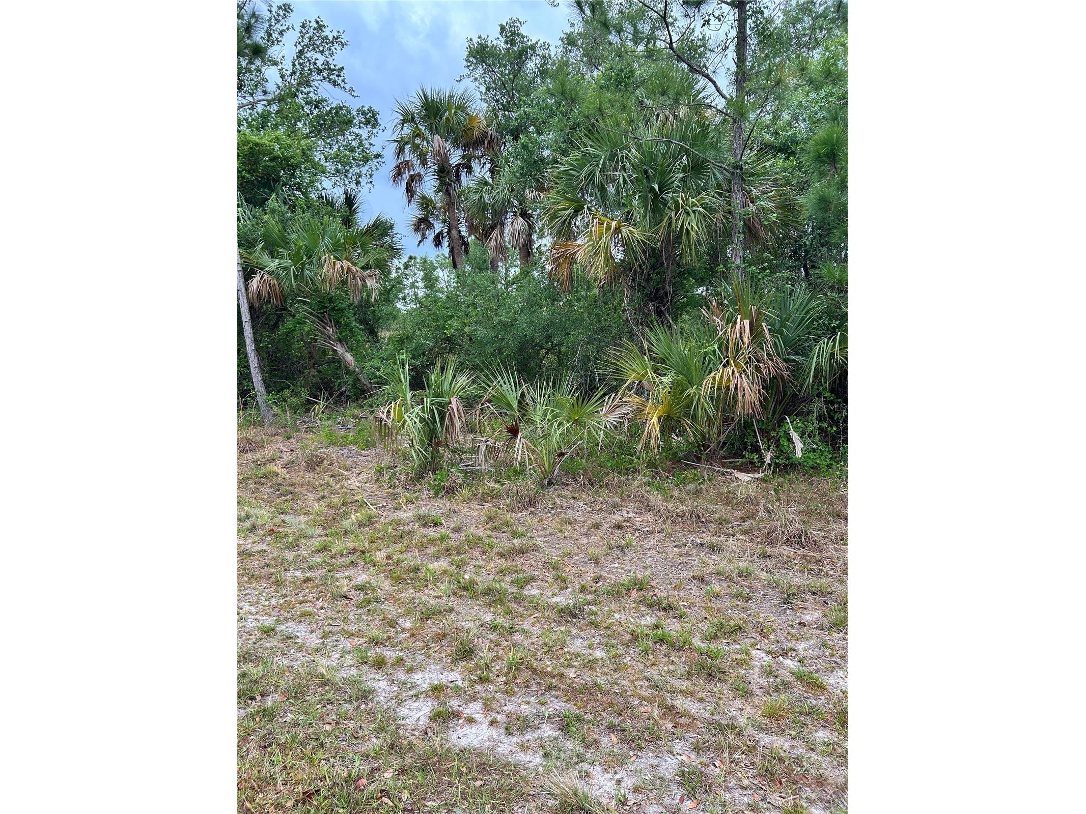 361 & 369 Juper Street Port Charlotte FL 33953 A4648212 image1
