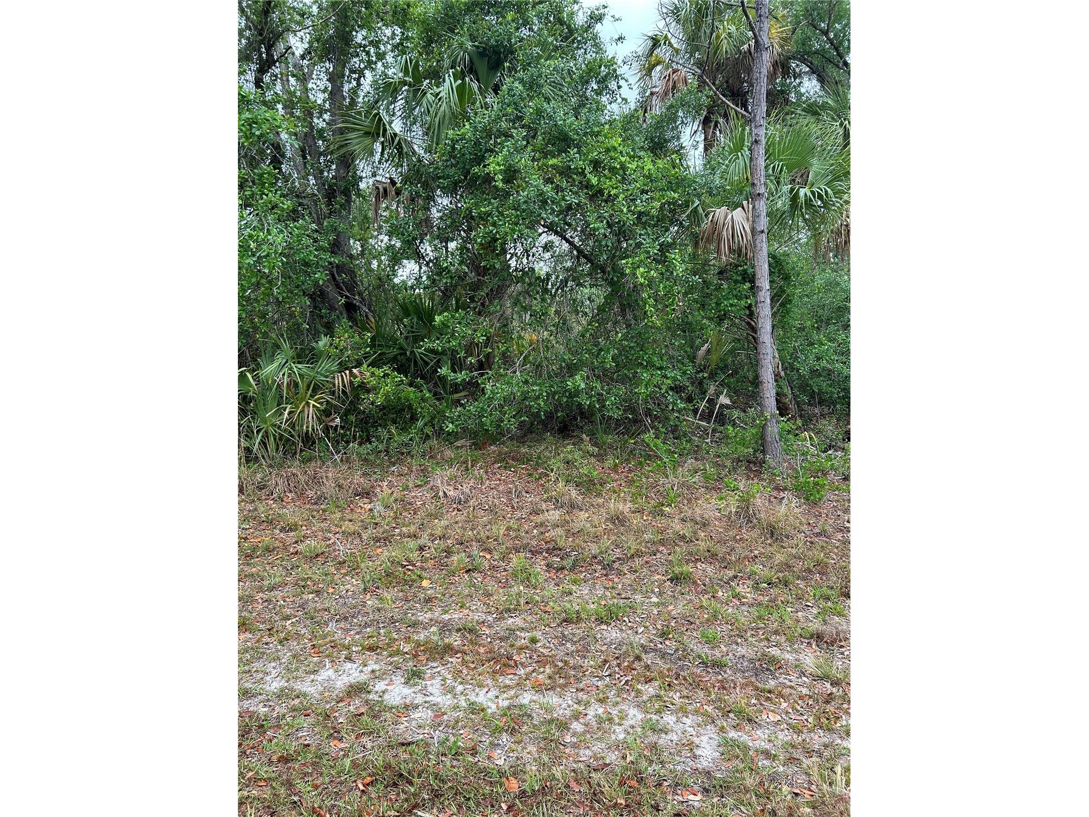 361 & 369 Juper Street Port Charlotte FL 33953 A4648212 image2