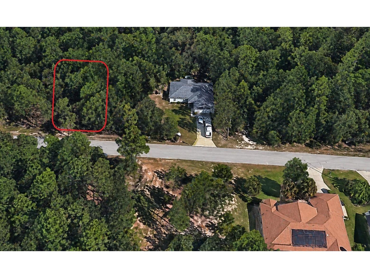 361 E Elgrove Drive Citrus Springs FL 34434 O6402712 image1
