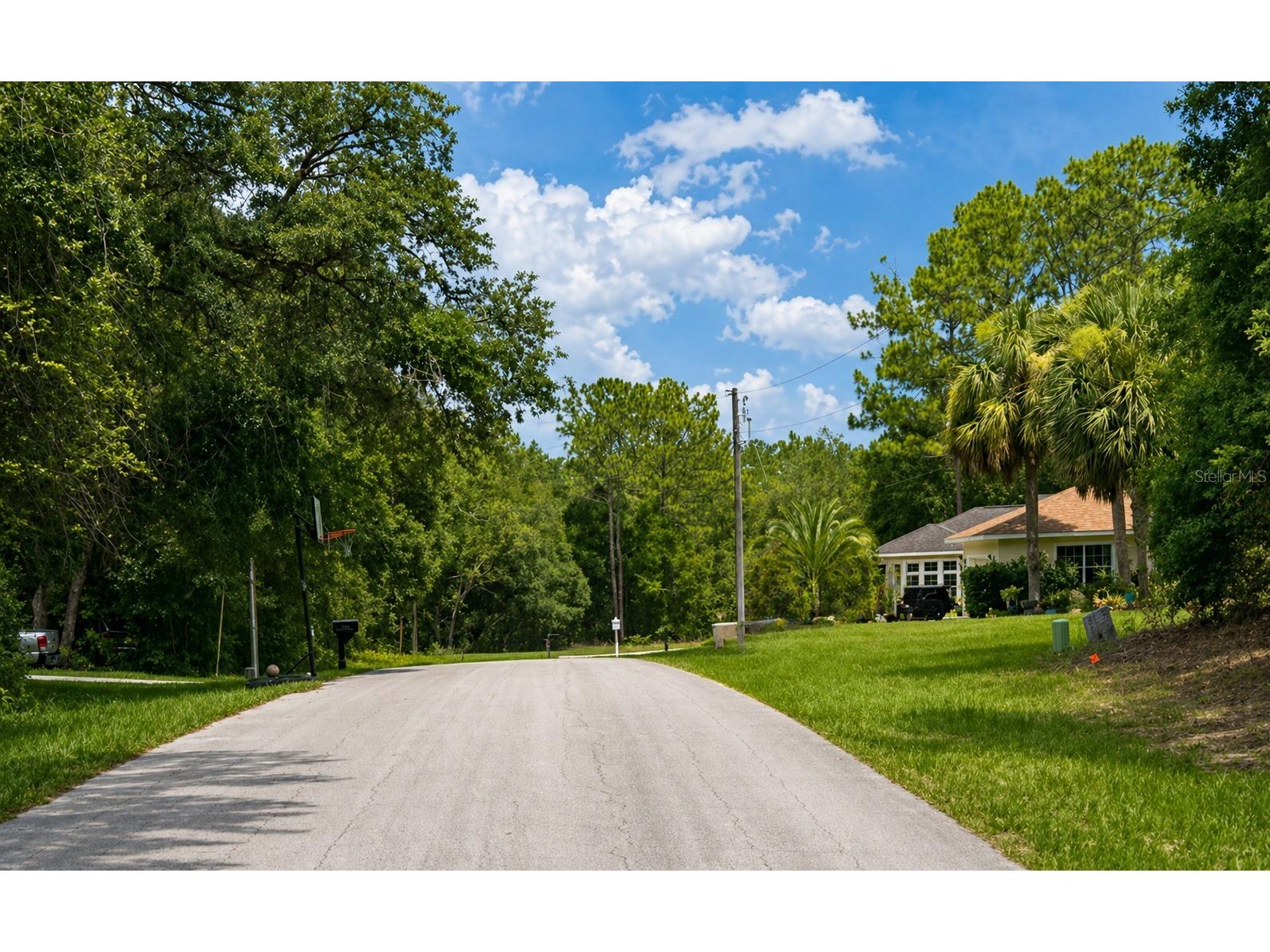 361 E Elgrove Drive Citrus Springs FL 34434 O6402712 image2
