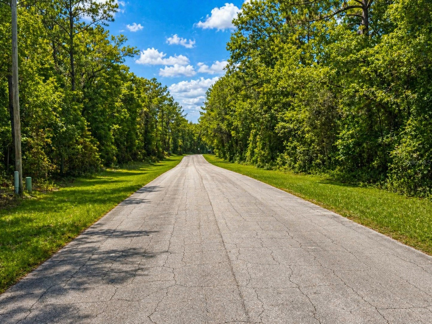 361 E Elgrove Drive Citrus Springs FL 34434 O6402712 image3