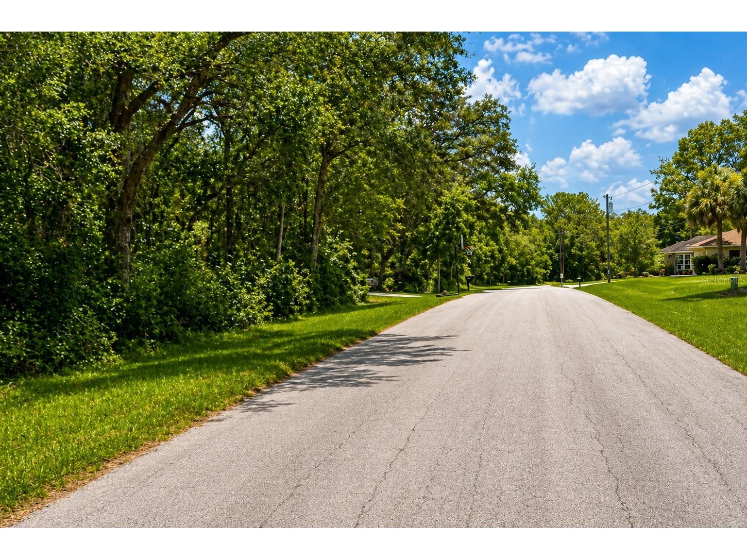 361 E Elgrove Drive Citrus Springs FL 34434 O6402712 image4