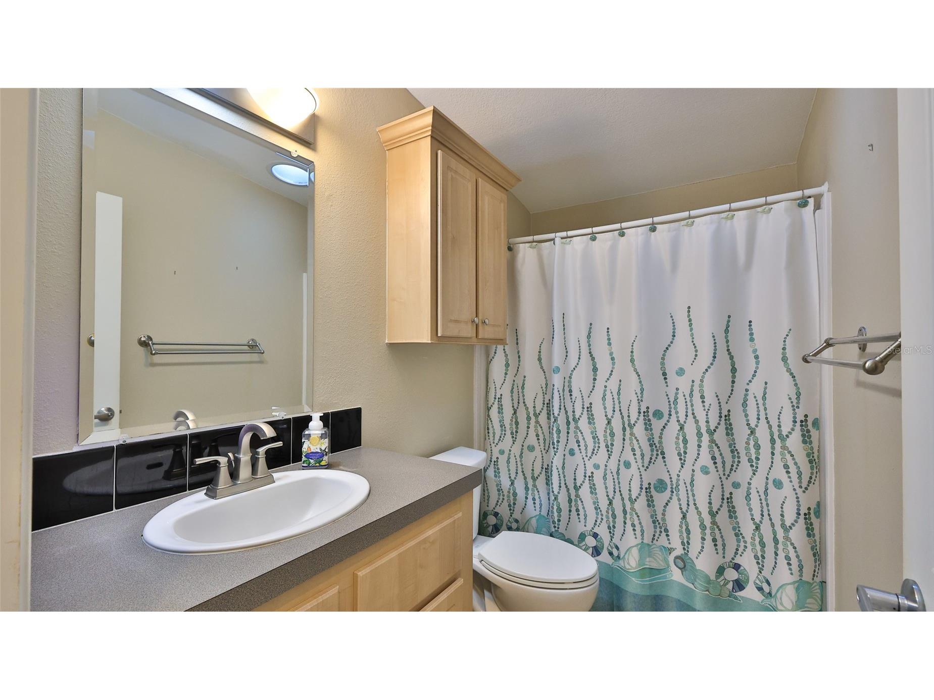 361 Marsh Landing Loop Oak Hill FL 32759 - INDIAN RIVER INTRACOASTAL WW NS1087166 image19