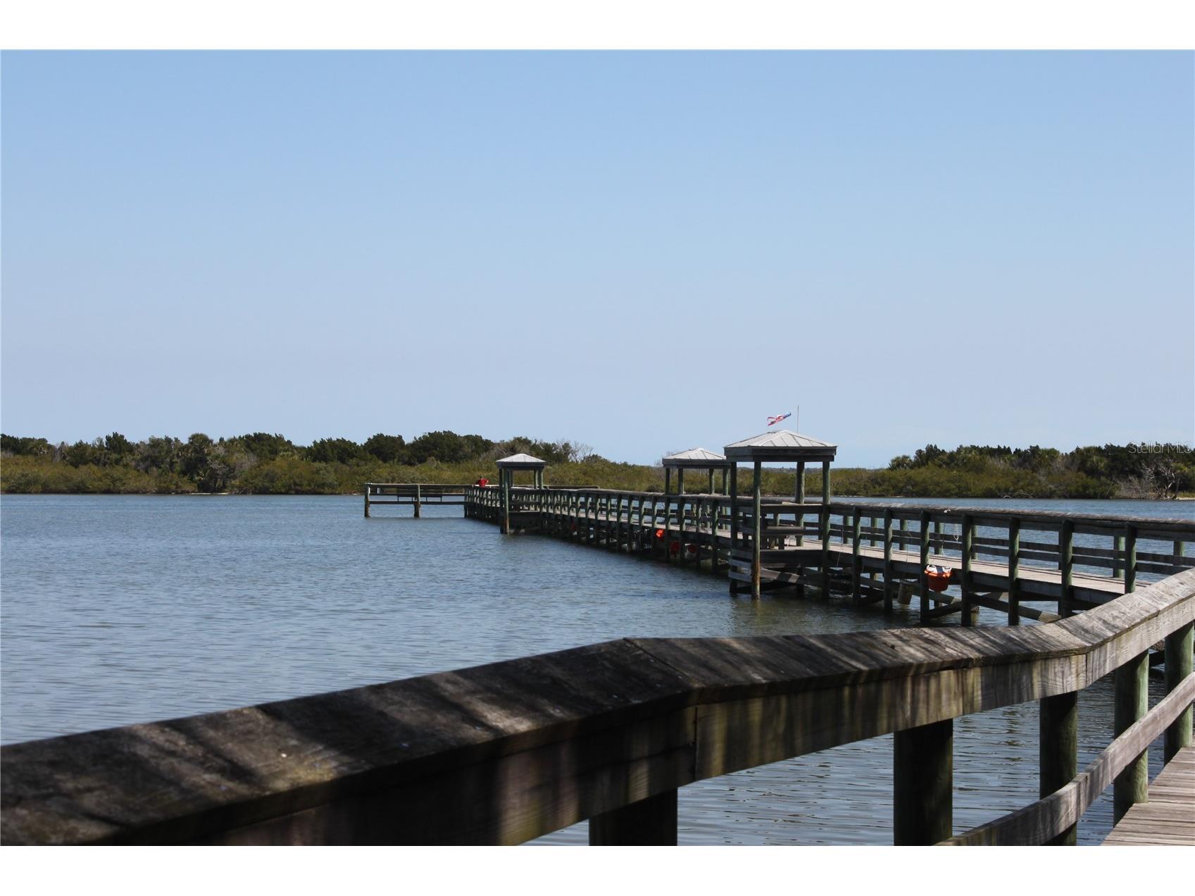 361 Marsh Landing Loop Oak Hill FL 32759 - INDIAN RIVER INTRACOASTAL WW NS1087166 image48