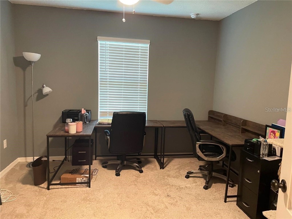 361 Nowell Loop Deland FL 32724 V4945194 image20