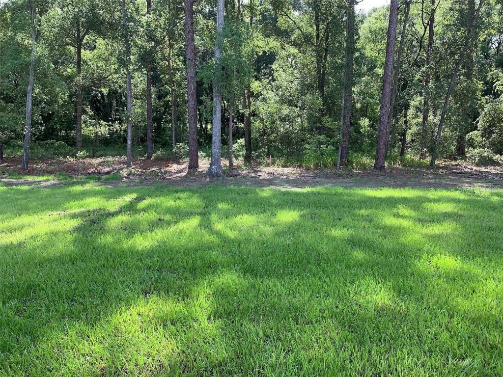 361 Nowell Loop Deland FL 32724 V4945194 image27