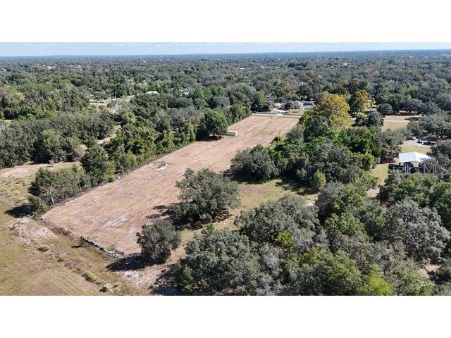 361 Peach Tree Dr Spring Hill FL 34608 S5136986 image8