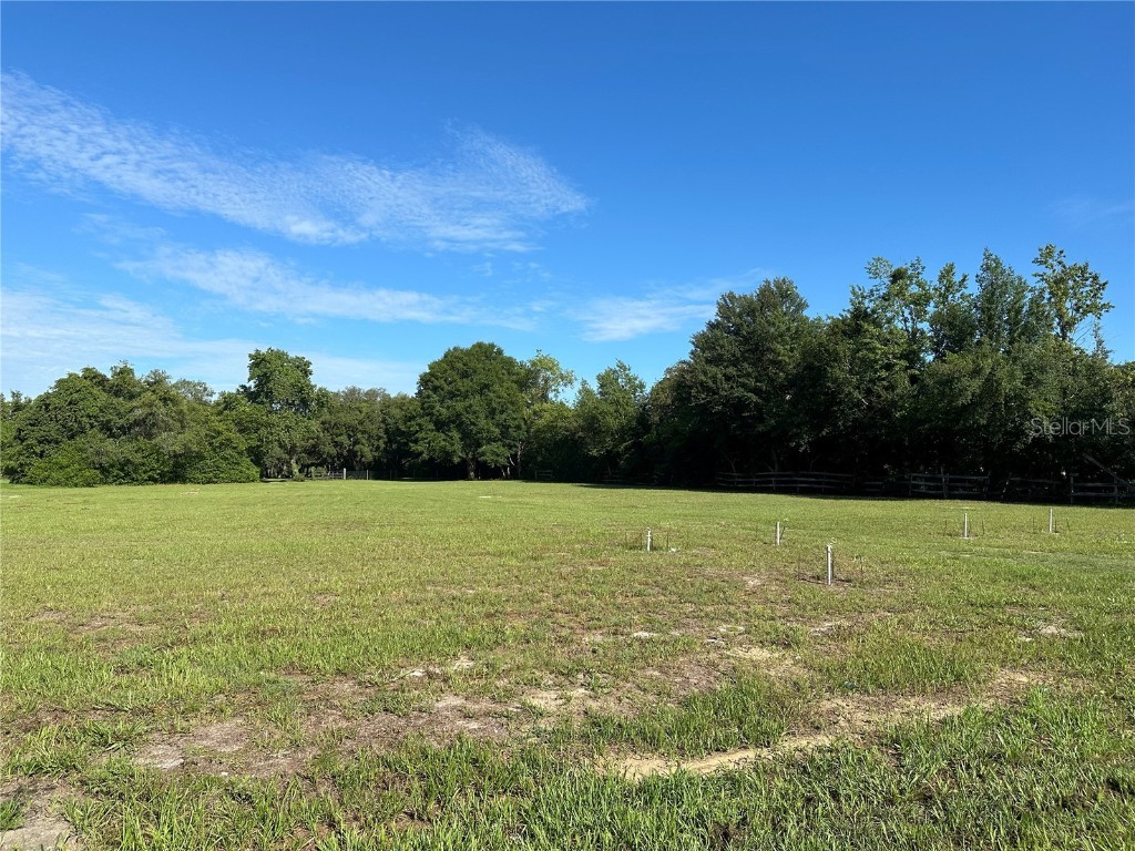 361 Peach Tree Drive Spring Hill FL 34608 W7866219 image1